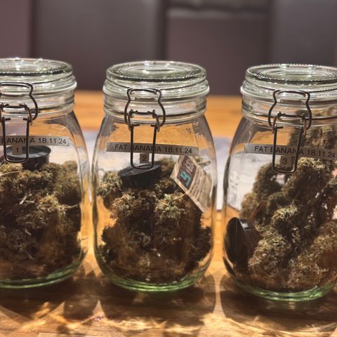 Fat Banana Auto #1 -89g growlog photo: 21:55
