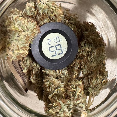 Fat Banana Auto #1 -89g growlog photo: 23:45