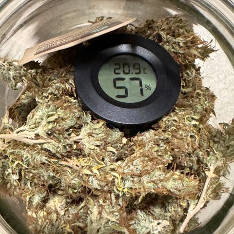 Fat Banana Auto #1 -89g growlog photo: 23:45