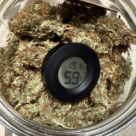 Fat Banana Auto #1 -89g growlog photo: 22:37