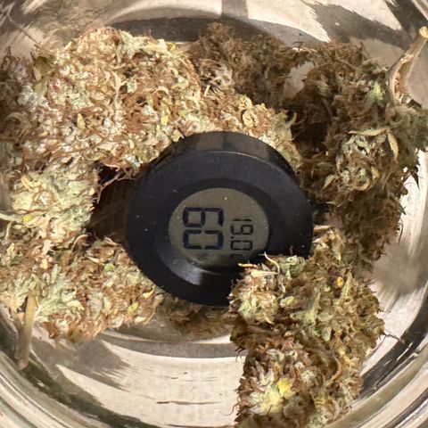 Fat Banana Auto #1 -89g growlog photo: 22:37