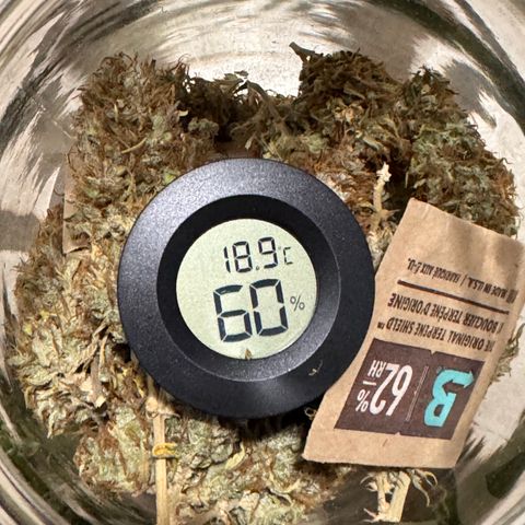 Fat Banana Auto #1 -89g growlog photo: 22:37