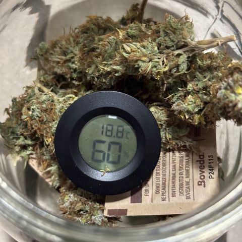 Fat Banana Auto #1 -89g growlog photo: 22:54
