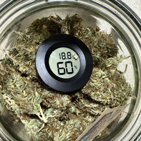 Fat Banana Auto #1 -89g growlog photo: 22:54