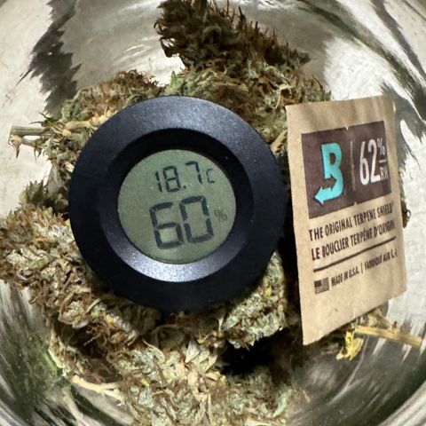 Fat Banana Auto #1 -89g growlog photo: 22:54