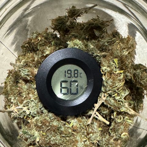 Fat Banana Auto #1 -89g growlog photo: 11:08