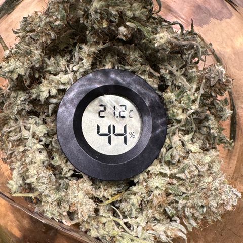 Apple Fritter Auto #3  -85g growlog timeline photo
