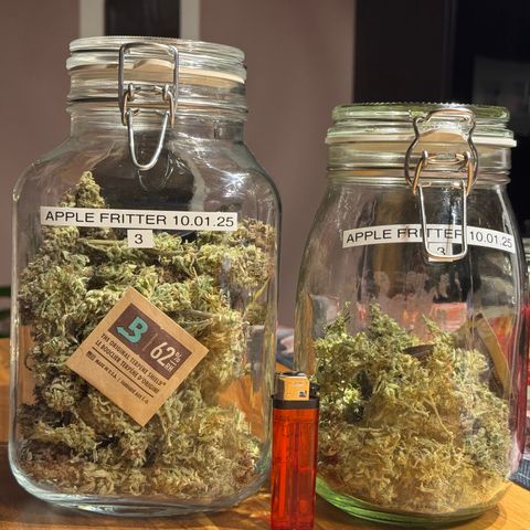 Apple Fritter Auto #3  -85g growlog timeline photo