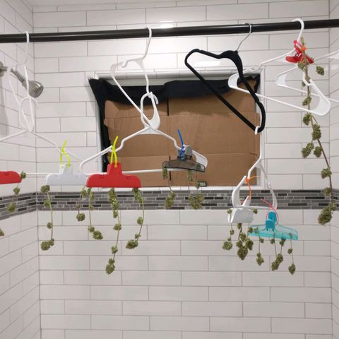Amnesia Fast growlog timeline photo