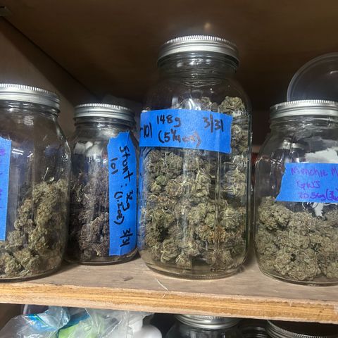 Munchie Matrimony (A): SSG. GWJ25 growlog photo: These are all my curing jars. Only small ones have Munchie matrimony in it