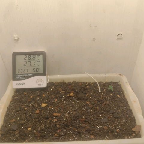 DomiNigg4 growlog timeline photo