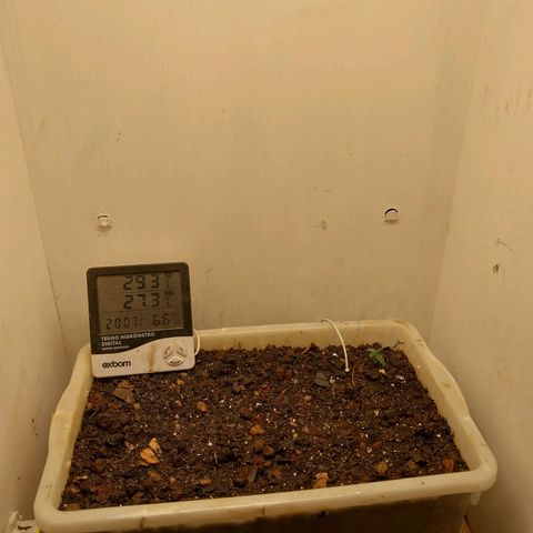 DomiNigg4 growlog timeline photo