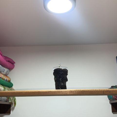 Mermelada growlog timeline photo