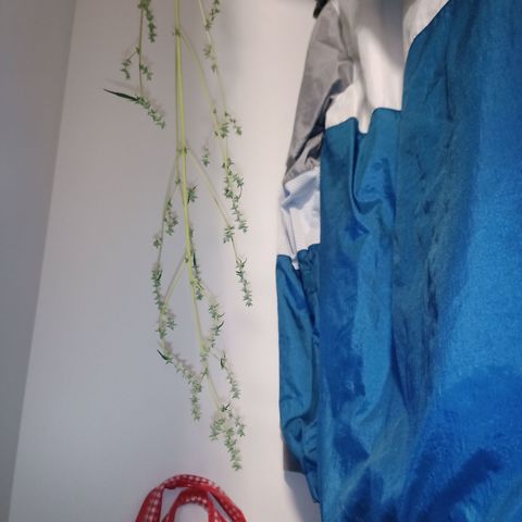 Royal Bluematic  growlog timeline photo