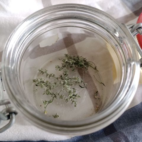 Royal Bluematic  growlog timeline photo