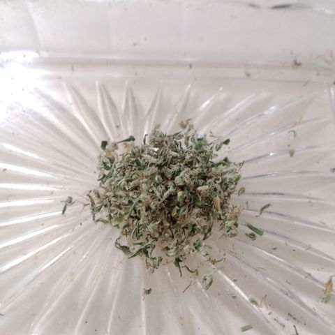 Unknown Mist #1 growlog photo: Ca. 0,5g für Vape angerichtet.