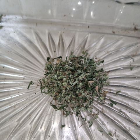 Unknown Mist #1 growlog photo: Ca. 0,5g für Vape angerichtet.