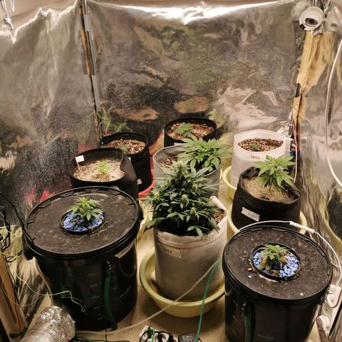 Инна growlog timeline photo