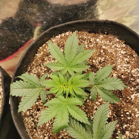 Инна growlog timeline photo