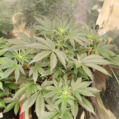 Инна growlog timeline photo
