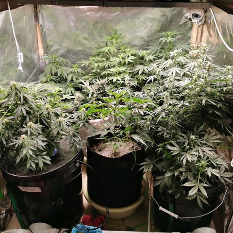 Инна growlog timeline photo