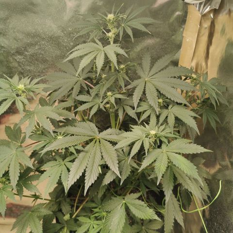 Инна growlog timeline photo