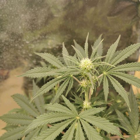 Инна growlog timeline photo