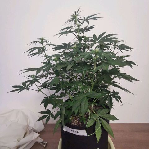 Инна growlog timeline photo