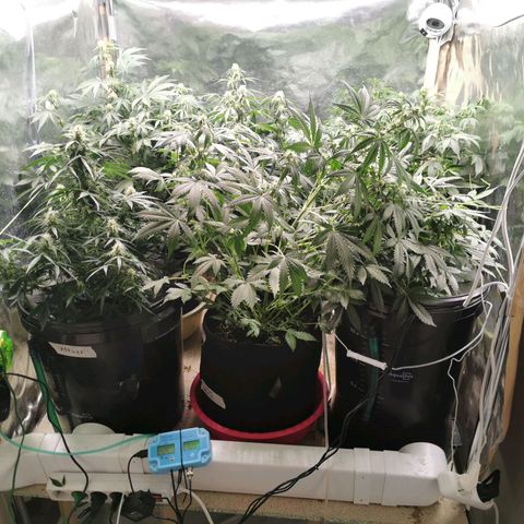 Инна growlog photo: Очень тесно!!!11