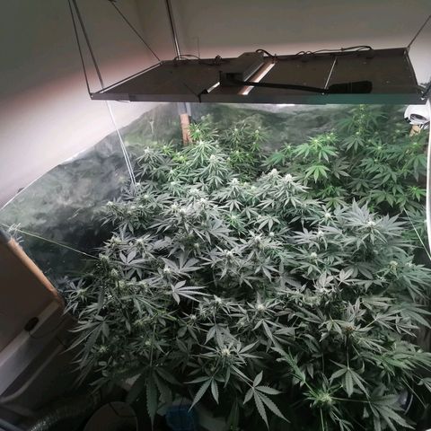Инна growlog timeline photo
