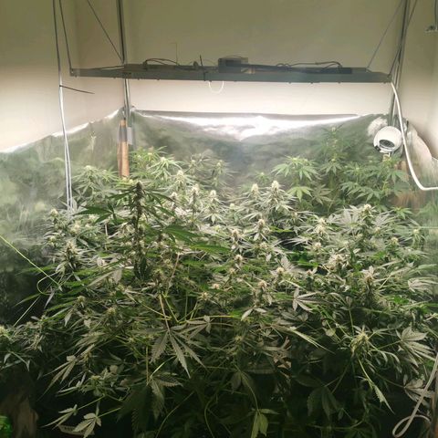 Инна growlog timeline photo