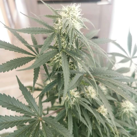 Инна growlog timeline photo