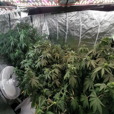 Феся growlog timeline photo