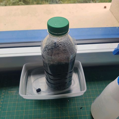 Veronique growlog photo: Enracinement confirmer 