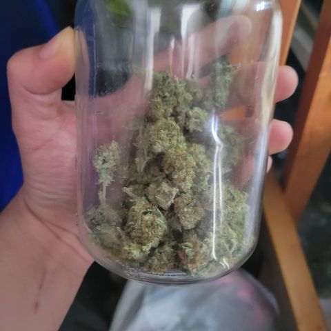 Sky OG. growlog timeline photo