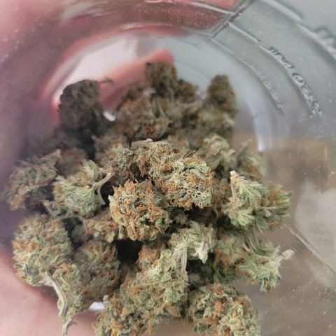 Sky OG. growlog timeline photo