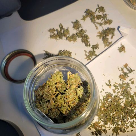 Aster growlog timeline photo
