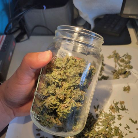Aster growlog timeline photo