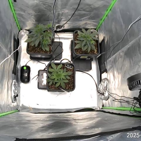 Eleanor growlog timeline photo