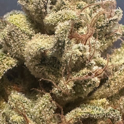 Eleanor growlog photo: 48 grams, 1.7 oz