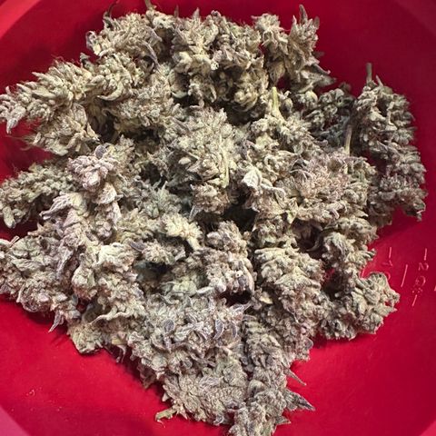 Max growlog photo: 103 grams / 3.7 oz