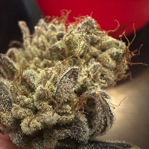 Max growlog photo: 103 grams / 3.7 oz