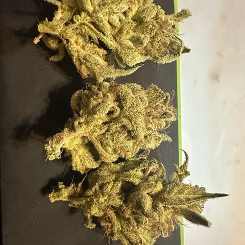 Eleanor growlog photo: 48 grams, 1.7 oz