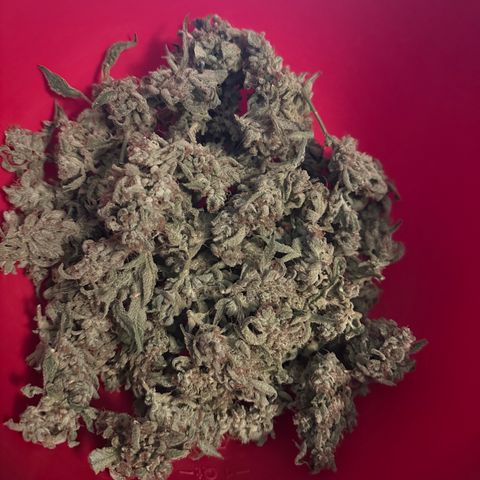 Eleanor growlog photo: 48 grams, 1.7 oz