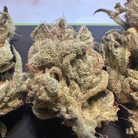 Eleanor growlog photo: 48 grams, 1.7 oz