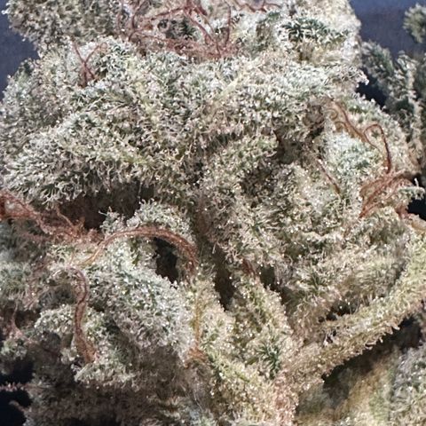 Eleanor growlog photo: 48 grams, 1.7 oz