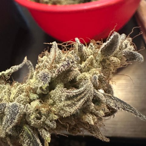 Max growlog photo: 103 grams / 3.7 oz