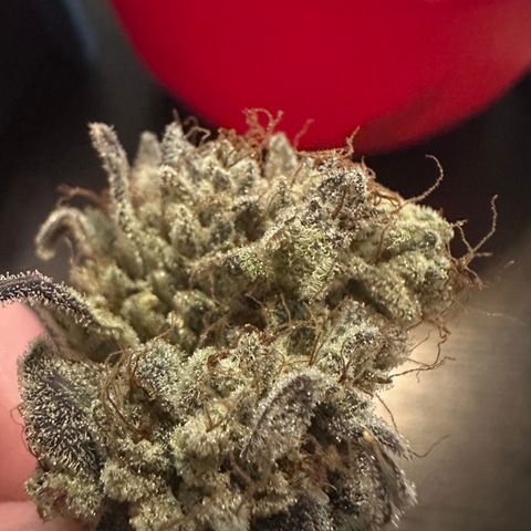 Max growlog photo: 103 grams / 3.7 oz