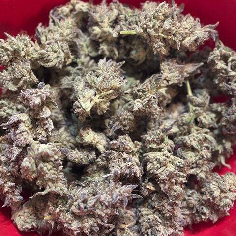 Max growlog photo: 103 grams / 3.7 oz