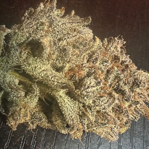 Freydis growlog timeline photo